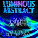 Roshane's Unlimited Orchestra, We Used to Cut the Grass & Infrasubcontra