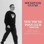 An Evening with New Young Pony Club