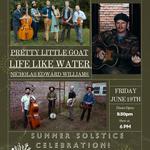 Summer Solstice Celebration