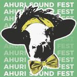 TTM à l'Ahury Sound Festival