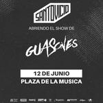 Santo Vicio - Guasones
