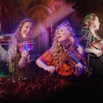 Concert, Workshop, and Seminar
