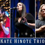 Kate Hinote Trio LIVE at Milford Farmers Market