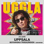 Lustans Lakejer, Magnus Uggla, Noice