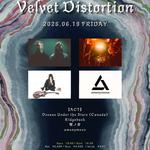Velvet Distortion