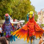 Weinfest Radebeul