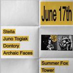 Summer Fox - Tower