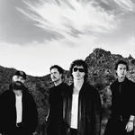 Don Broco
