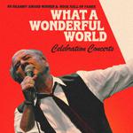 Art Garfunkel What a Wonderful World Concerts