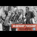 WDCB Bluesday Tuesday at FitzGerald's