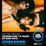 Celebrating 15 Years of BIRD with STEAM DOWN