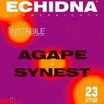 ECHIDNA SUMMER NIGHT