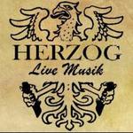 Singer/Songwriter Milo at Cafe Bar Herzog, Zorneding