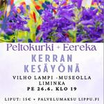 Kerran kesäyönä