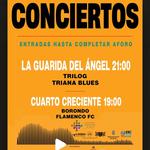 Jerez fusion festival 