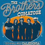 Brothers Comatose