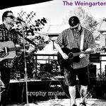 Trophy Mules acoustic on Fathers Day