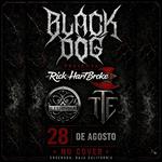 Black Dog
