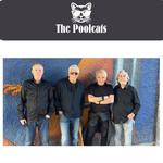 The PoolCats