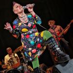 Concerts in the Garden: Someone You Can Xray 