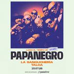 PAPANEGRO EN TALCA