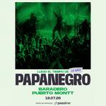 PAPANEGRO EN PUERTO MONTT