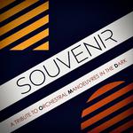 Souvenir - A Tribute to Orchestral Manoeuvres in the Dark