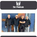 The PoolCats