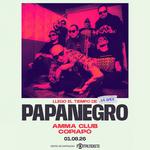 PAPANEGRO EN COPIAPÓ