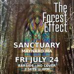 The Forest Effect @ Sanctuary
