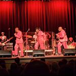 Stowe Botanical Garden Concert