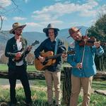 Pat Sheridan Trio @ Puckett's Hendersonville