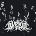 LiveKill