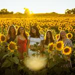 NOTO Summer Concert Series