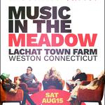 The Moonrise Cartel at Lachat Town Farm - Weston
