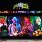 Laurel Canyon Project Acoustic at Nettleham Live