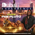     The Dubai Experience 2027 Hosted by PBE Pluto