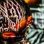 Max Cooper: 3D/AV Live