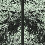 Darkgroove 2026