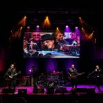 Whammer Jammer - Tribute to The J. Geils Band at Vine and Vibes - Small Batch Cellars CT