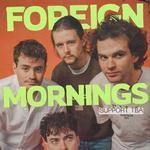 Foreign Mornings Irish Tour - Cork - Fred Zeppelins - Nov 7th