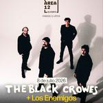 Area 12 (+ The Black Crowes)