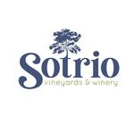 Joe Holder live at Sotrio Vineyards