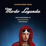 CAMIN EN GRANADA, COPERA