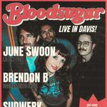 bloodsugar, Brendon B, & June Swoon @ Sudwerk Brewing