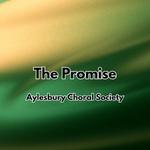 Aylesbury Choral Performance of THE PROMISE