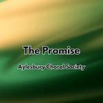 Aylesbury Choral Performance of THE PROMISE