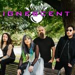 Immersion Music & Arts Festival 2026