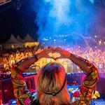 Frequency Forest 2026