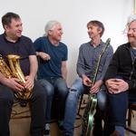 Stoat in Wexford Arts Centre